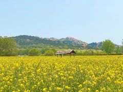 -西海岸生态观光园