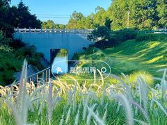 -露天矿生态公园