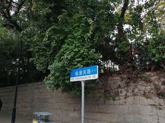 -八大关景区