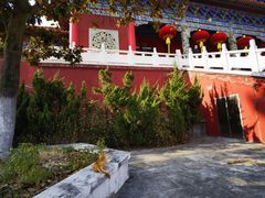 -开福禅寺