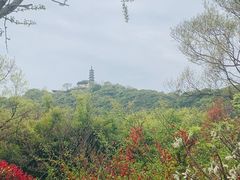 -苏州上方山国家森林公园