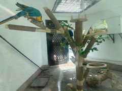 -青藏高原野生动物园