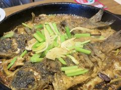 -老板恋上鱼(恒隆广场店)