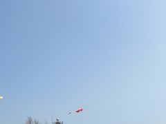 -北戴河圣蓝海洋公园