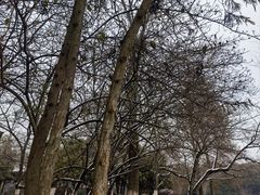 -南京珍珠泉风景区