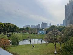 -院士公园