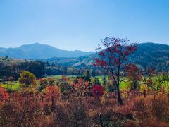 -塔川景区