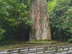 -娄山关景区