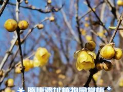 -洛阳市隋唐城遗址植物园