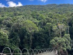 -海南热带雨林国家公园吊罗山景区