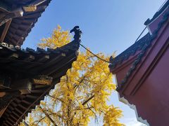 -长春观