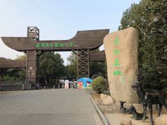 -溱湖国家湿地公园