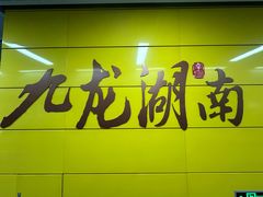 -九龙湖公园
