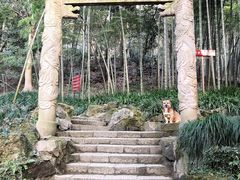 -杭州黄龙洞