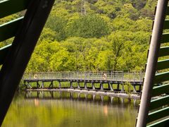 -西湖风景区-江洋畈生态公园