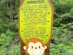 -大岭沟猕猴桃谷风景区