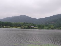 -长广溪湿地公园