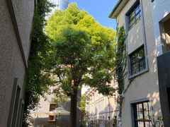 -徐家汇源景区-衡山坊