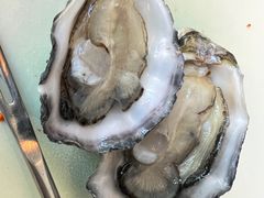 -斯普汇生蚝牛排馆(中骏世界城店)