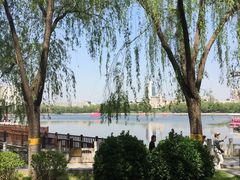 -莲花池公园
