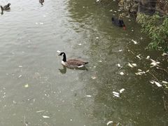 -南昌动物园