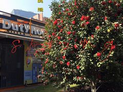 -浙江万里学院(钱湖校区)