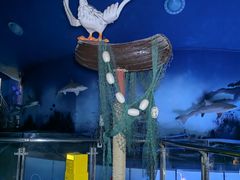 -烟台海昌鲸鲨海洋公园