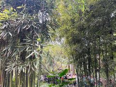 -成都杜甫草堂博物馆