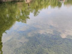 -棠湖公园