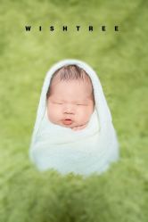 -愿望树儿童摄影(699文创店)