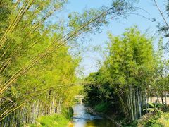 -红山村