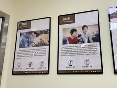 -美联众合动物医院·24h转诊中心