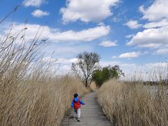 -野鸭湖国家湿地公园