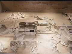 -洛阳周王城天子驾六博物馆