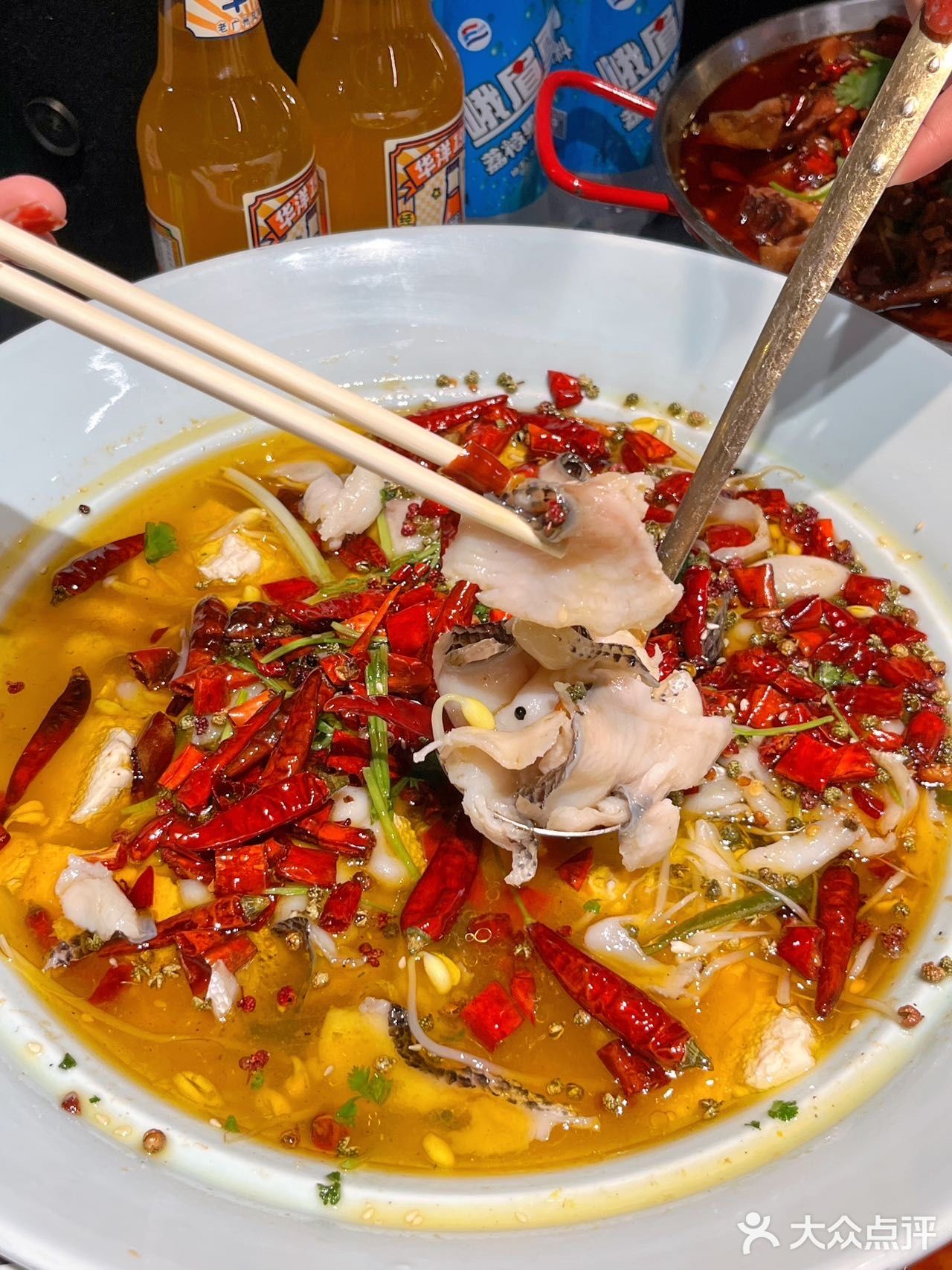 乐川汇|私藏好久的宝藏川菜