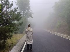 -妙峰山风景名胜区