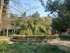 -同济大学(沪西校区)