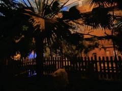-陆地游轮吉林神农温泉
