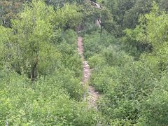 -十三陵水库