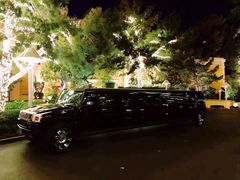 -拉斯维加斯永利酒店