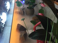-十二饭点·川菜(北站圆融店)