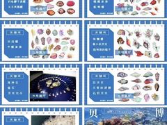 -青岛贝壳博物馆
