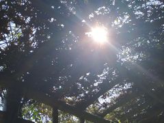 -丹樱生态园
