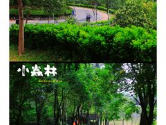 -火炉山森林公园