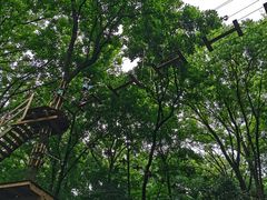 -WeLope紫金山探险公园