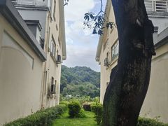 -南华禅寺
