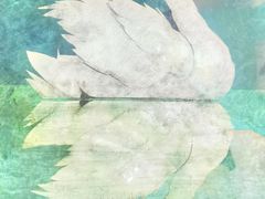 -鹏欣水游城