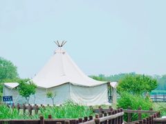 -西青郊野公园