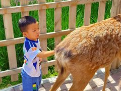 -水上乐园·欢乐世界