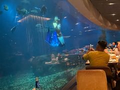 -涛·海底餐厅·美人鱼·自助餐·海底隧道(三亚海棠湾洲际度假酒店)